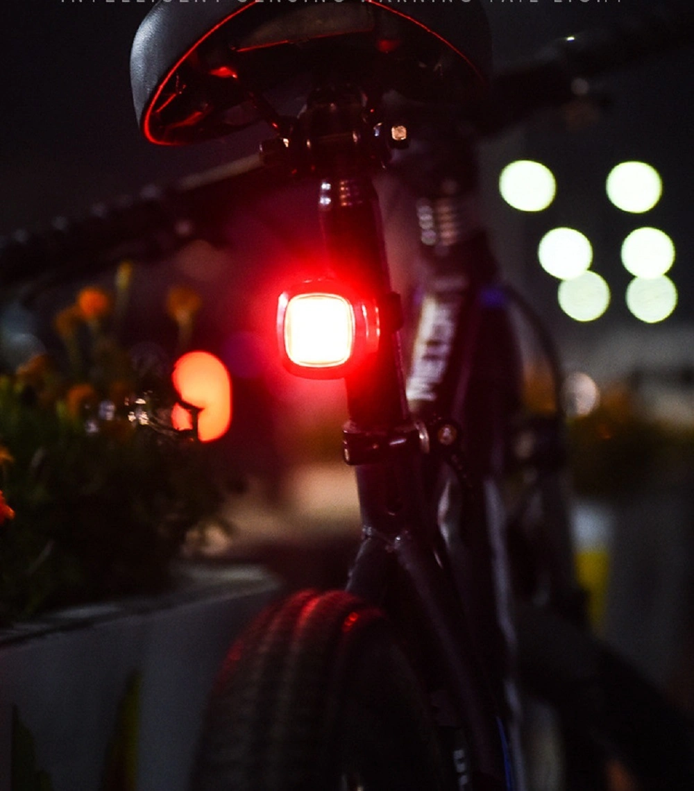 Auto-Sensing Bike Tail Light Braking Sensing Taillights, USB Rechargeable, Ultra Bright LED Warning Auto on/off Sensor Ipx5 Waterproof Bl18314