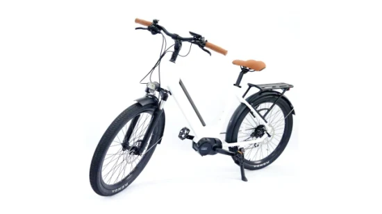 OEM Shimano 7단 전기 자전거 250W 풀 서스펜션 Vinka 36V 250W MID 드라이브 세트 모터 Ebike