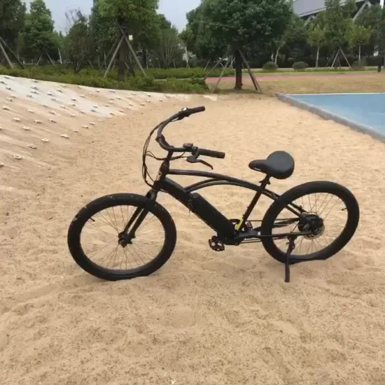 Beach Bruiser 48V 샌드 비치 Elektrofahrrad